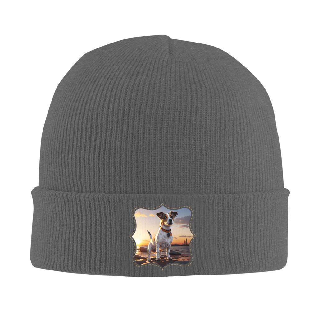Jack Russell dog at sunset  Winter Skullies Beanies Hat Warm Autumn Knitted Hats Bonnet Caps for Women Men