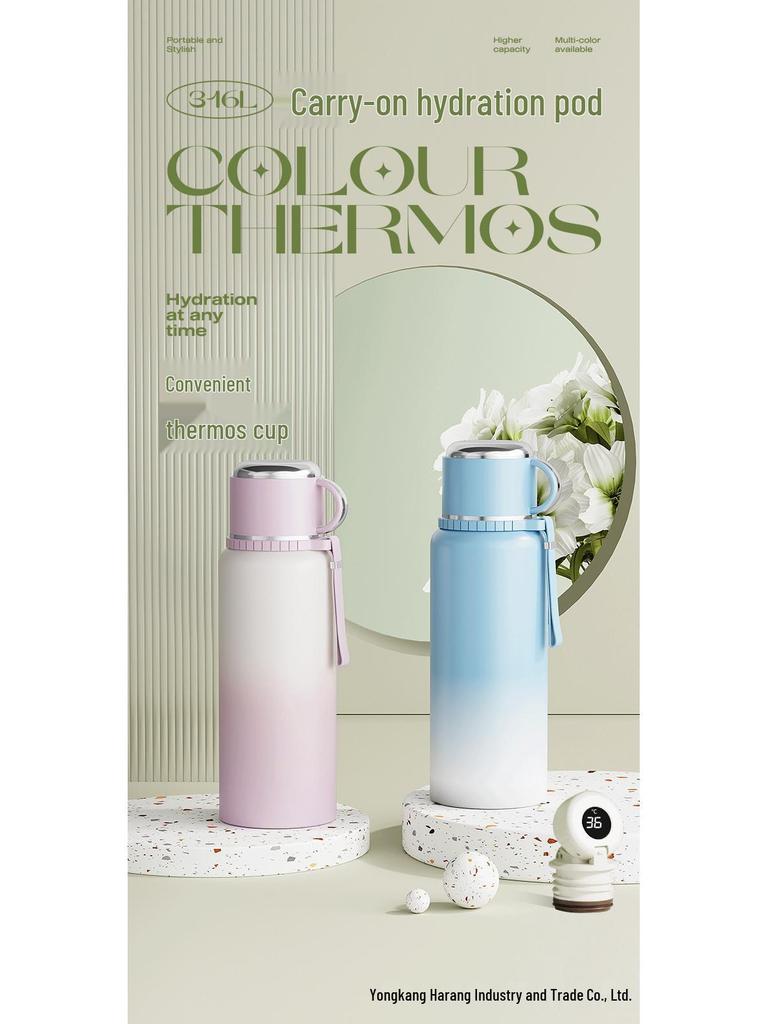 316 Stainless Steel Insulated Water Bottle with Double Lids & Tea Infuser for Outdoor Use