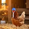 Chicken Helmet Pet Safety Poultry Sun Rain Protection Hat with Adjustable Elastic Band Prevents Injuries Funny Bird Hat Headwear Hens Helmet