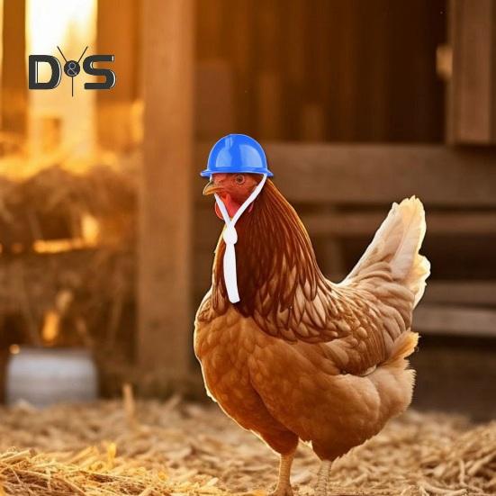 Chicken Helmet Pet Safety Poultry Sun Rain Protection Hat with Adjustable Elastic Band Prevents Injuries Funny Bird Hat Headwear Hens Helmet