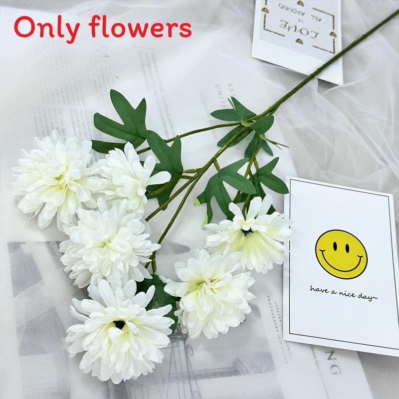 Realistic Fake Epaltes Australis Arrangement For Diy Home Decoration And Photography Props