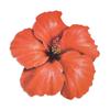 8Pcs Hawaiian Hibiscus Flower Shape Paper Placemat Summer Wedding Birthday Party Dining Table Decor Supplies Disposable Tablemat