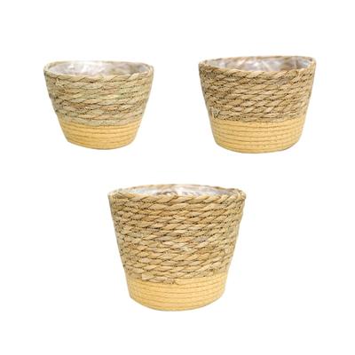 Tuinpotten en -dozen – Kweekcontainers