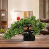 Small Artificial Bonsai Pine Tree Simulation Potted Plants Desktop Display Tree for Windowsill Home Office Decoration Ornaments