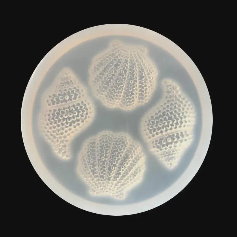 Silicone Mold for Mirror Flash Shell: Conch Drop Glue Decoration