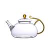 ZISIZ Heat-Resistant Glass Teapot with Spring Filter
