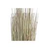 Dekorative Pflanze DKD Home Decor 25 x 25 x 68 cm Braun Polyethylen Grün (2 Einheiten)