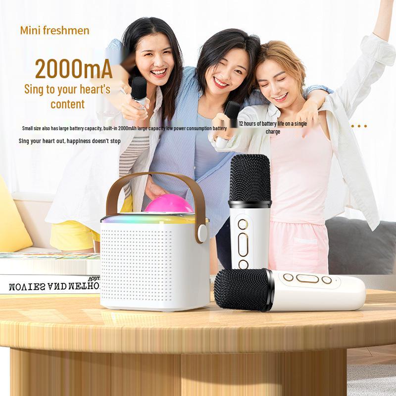 Y1 Bluetooth Wireless Children's Home KTV Microphone Speaker Set