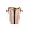 Stainless Steel Ice Bucket | DoubleHandled, 5L, with Handles, for Parties 5L Silver