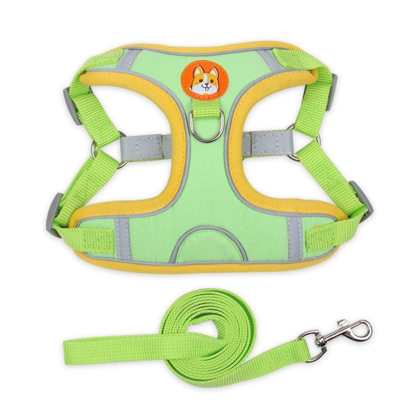 Lightweight Breathable Dog Harness Vest Quick Dry Leash Set Small Medium Dogs