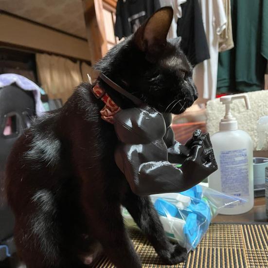 2Pcs Cat Muscular Arm Costume Cat Neck Arm with Muscle 3D Printed Superhero Cosplay Pet Spoof Toy Funny Cat Photo Prop Accessory