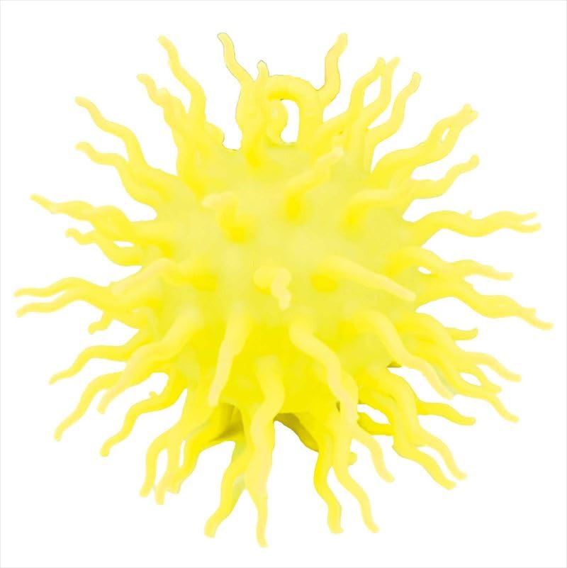 

Уникальный набор шариков из морского ежа Ига Размер морского ежа Ига UN-0321