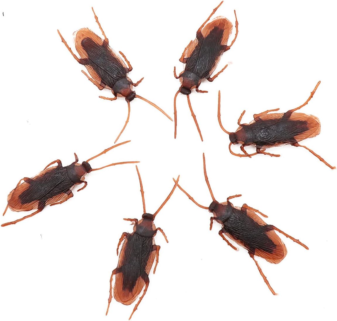 

Набор игрушек «Поддельные тараканы», реалистичные поддельные тараканы — отличный способ разыграть, поддельные тараканы для розыгрыша на Хэллоуин, детские игрушки для шуток и трюков для взрослых 5pcs/set