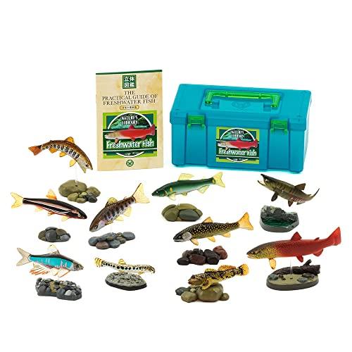 Calorata 3D Encyclopedia of Japanese Freshwater Fish (10 Species / Includes Instructions and Stand) Realistic Figures (Educational Toy) Birthday Gift