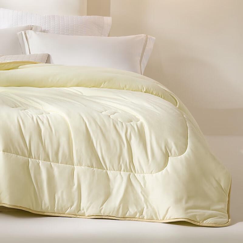 

LUOLAI Soft Class A Four Seasons Quilt