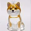 Hair Grooming Dog Hair Storage Box Transparent Puppy Pendants Cartoon Pet Hair Keychain  Backpack