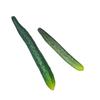 Soft PU Artificial Cucumber Simulation Cucumber for Home Decoration Basket Display Photography Kitchen Vegetable Toy