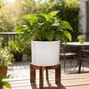 Indoor Corner Plant Stand Retro Wooden Display Rack Decorative Plant Shelves Support Plant Flower Bed Base Rack for Bedroom