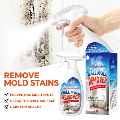 Efficient Wall Stain Remover for Painting Walls 240ml