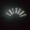 Rose Lace Edge LED Folding Fan - Wedding Gift & Dance Prop