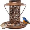Dual-Purpose Metal Solar Bird Feeder & Decorative Lawn Light