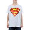 DC Comics Superman-Logo-T-Shirt für Jungen