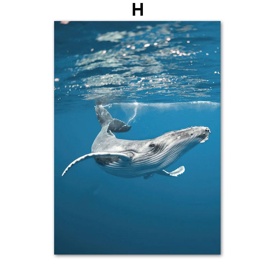 

Голубое море, пляж, кит, одуванчик, морской пейзаж, постеры, печать на холсте, скандинавские настенные художественные фотографии для гостиной, домашний декор 30X40cm No Frame