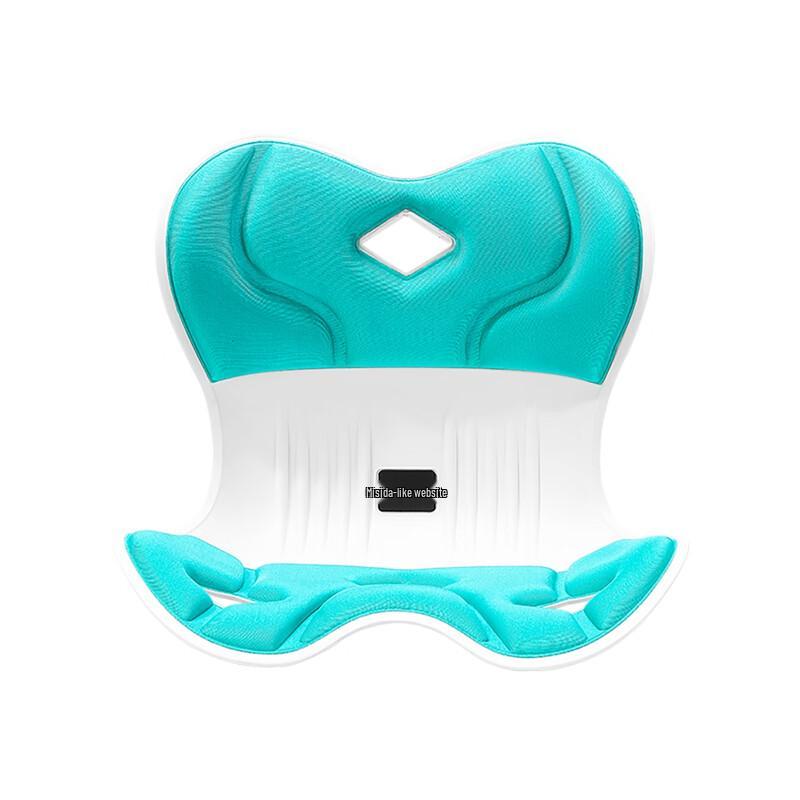Misida Ergonomic Lumbar Support Cushion CN Plug (adapter Included)