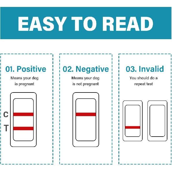 Dog Pregnancy Test Kit, Pet Pregnancy Supplies, Accurate and Fast Pregnancy Test Strips for Puppy, Disposable Pet Clinic Equipment at Home