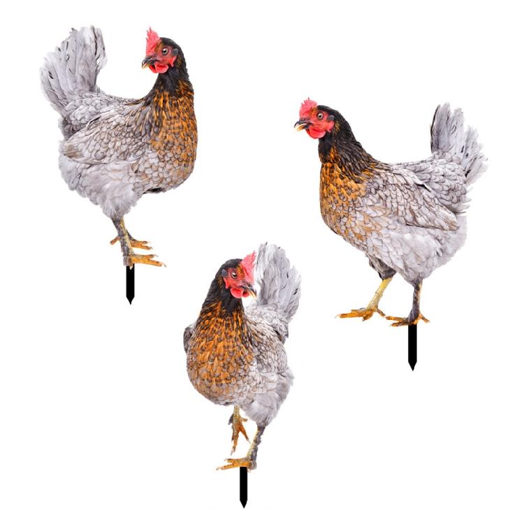 Chicken Garden Stakes Ornaments Garden Insert Yard Lawn Decoration Yard Signs