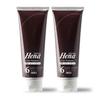 Tenstar Henna Color Treatment with Coloring Cap and Point for Gray Hair Made In Dark 250g X 2 Bottles Brush, Dye, Japan, Brown,