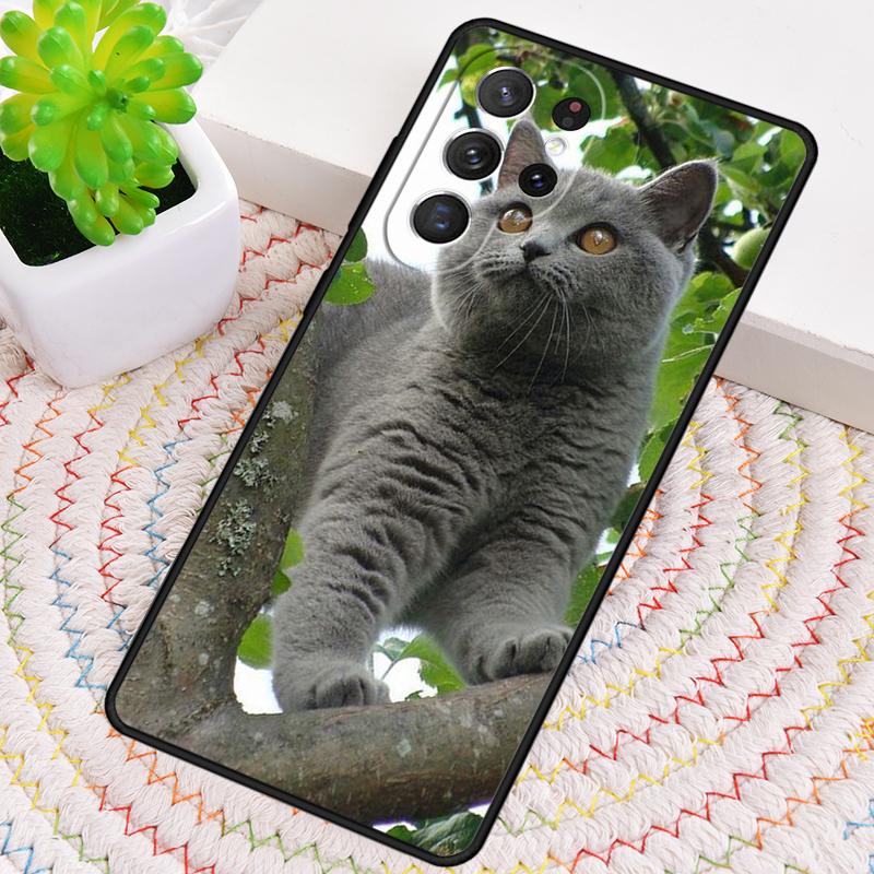 Grey British Shorthair Cat Silicone Phone Case For Samsung Galaxy note 10 pro S26 S25 S24 S23 S22 S21 Plus S25Ultra Capa Cover