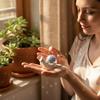 2Pcs Snail Disco Ball Catcher Indoor Window Light Spot Refractor Creative Desktop Ornaments Home Decoration