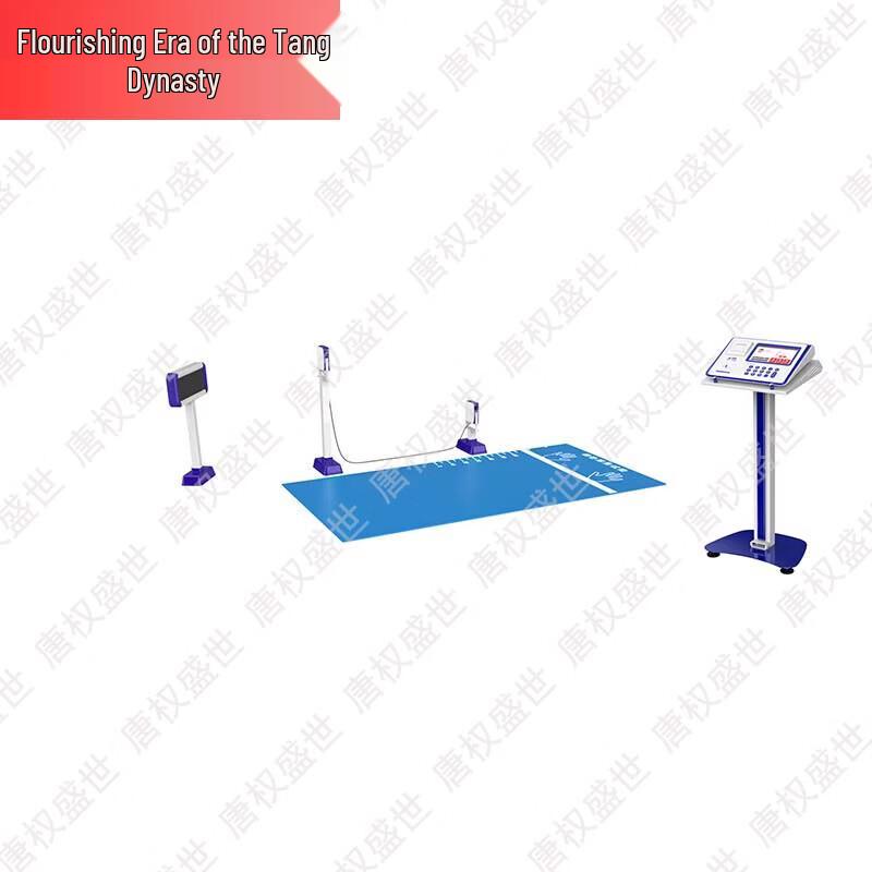Tang Quan Sheng Shi Push-up Tester