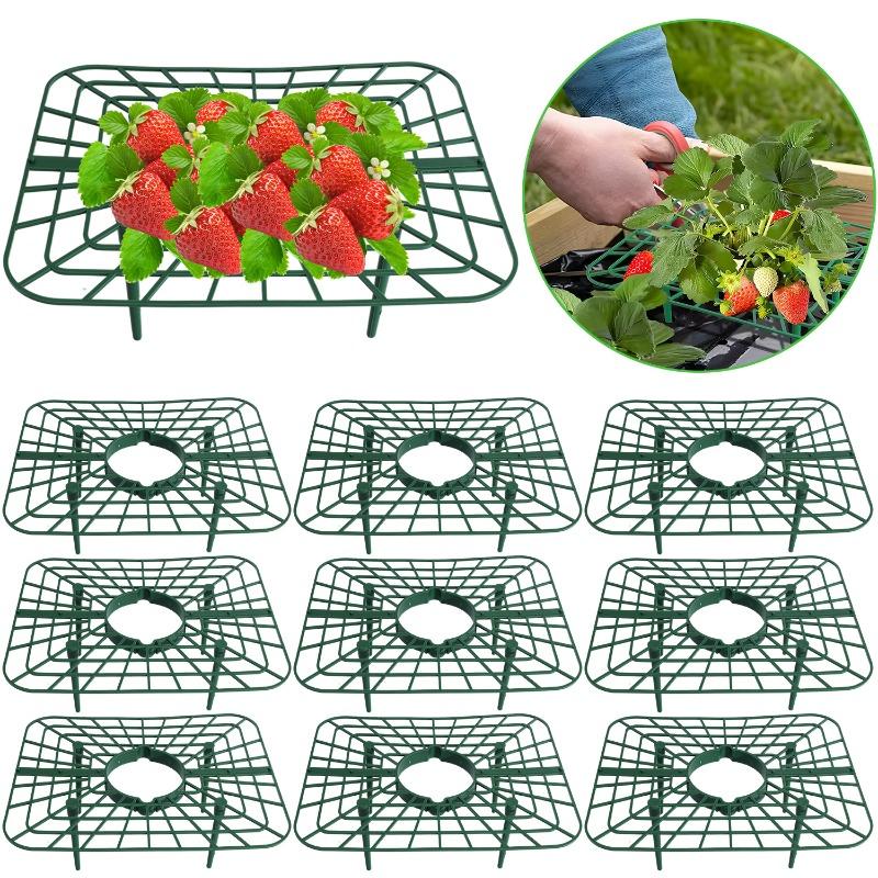 5/20sets Strawberry Stand Plant Frame Climbing Supports Trellis Space Saving Install Friendly Balcony Patio Garden Growing Tool