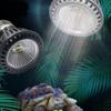 Effective LED Reptile Light Dedicated Reptile Lamp Bulb  Turtle Basking Platform