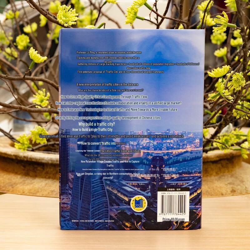 Flow City: Collaboration and Vitality