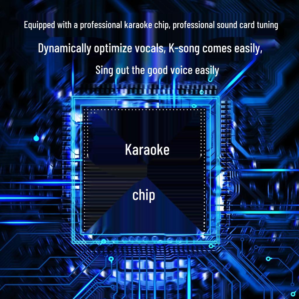 All-in-One Live Karaoke Sound Card with Wired Microphone & In-Ear Headphones