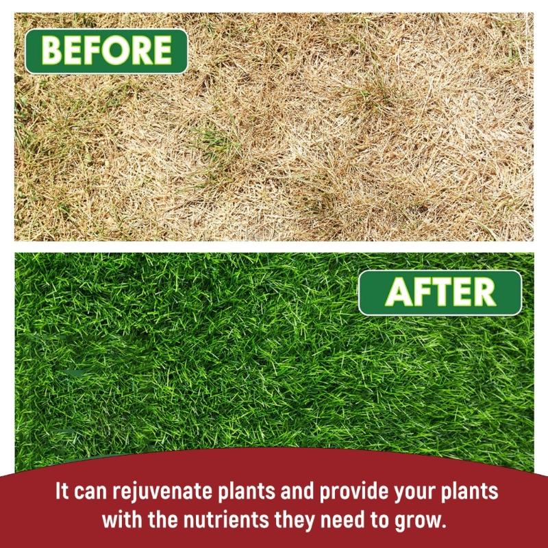 Gardening Slow Release Tablets Organic Fertilizers Plant Flowers Potassium Slow Release Agent Fertilizers for Garden