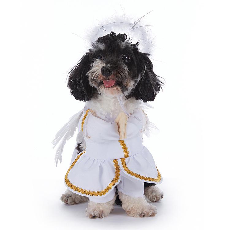 Christmas Pet Costume: Bat, Pirate, Clown, Delivery Outfit for Dogs