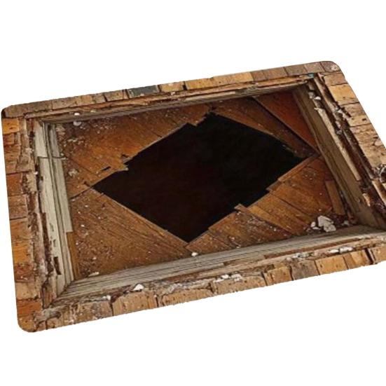 3D Optische Illusion Teppich Fußmatte mit Realistischem Lochmuster Testen Und Spielen