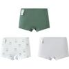Balabala Boys' Cotton Boxer Briefs 3-Pack