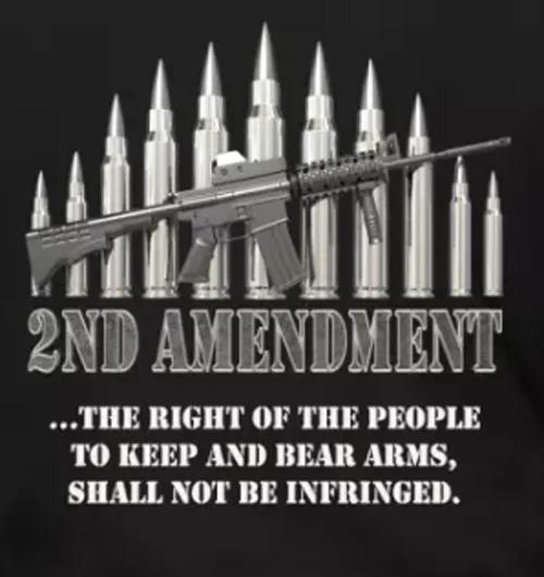 The Right of The People Unique Design 2nd Amendment TShirt Summer Cotton Short Sleeve ONeck Mens T Shirt New S3XL S