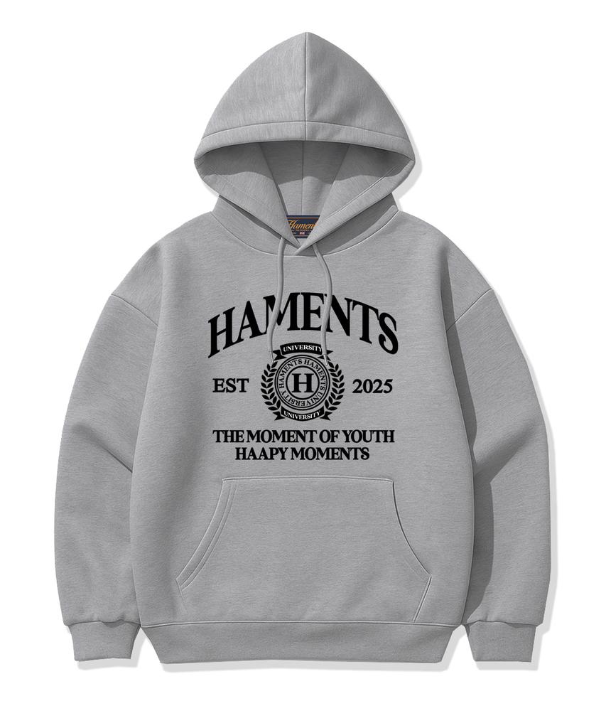 University Logo Hoodie Gray