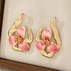 Fashion  Earrings For Women Ladies