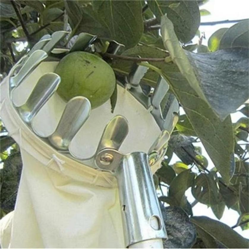 1 Stück Obstpflücker für große Höhen, Teleskopstiel Obstpflücker Kaki Obstpflücker Pflaume Walnuss Multifunktionales Pflückwerkzeug