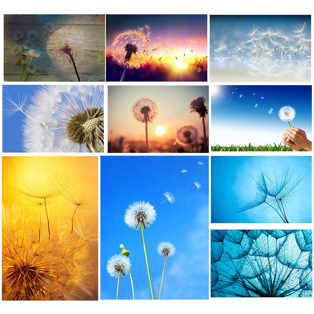 Romantic Dandelion Background Tapestry for Events,Party Banner,Home Decor,Weddings,Photo Booths