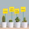 Jardinagem e paisagismo – Decoração de jardim