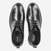 Clarks Aldwin Chukka Boots Black