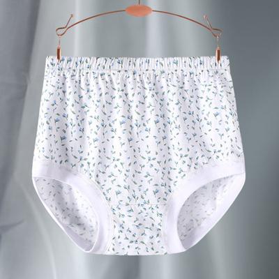 Senioren Damen Baumwollunterwäsche Weiche Vollabdeckung Slips Übergröße Feuchtigkeitsabsorbierende Slips